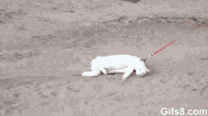 via gifs8.com